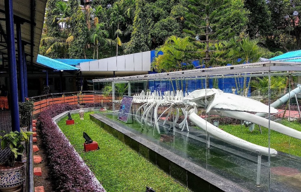 Shangrilas Beach Resort