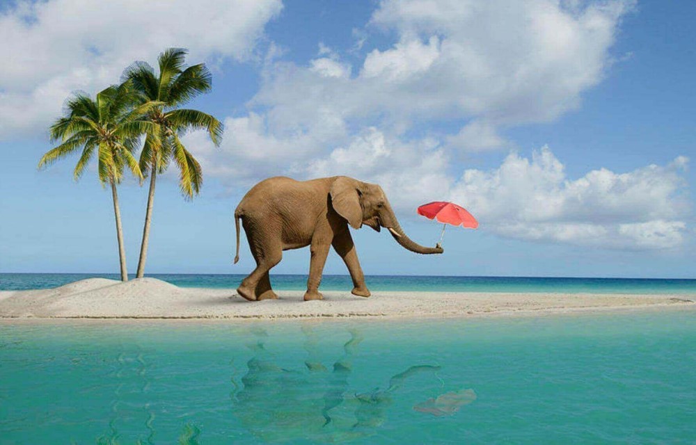 Shangrilas Beach Resort